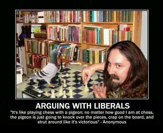 arguing with liberals.jpg